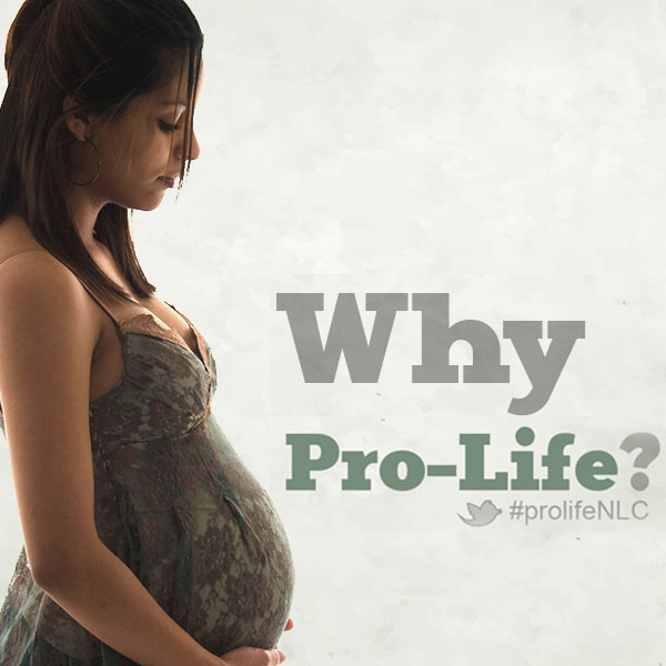 Why Pro-Life? Image
