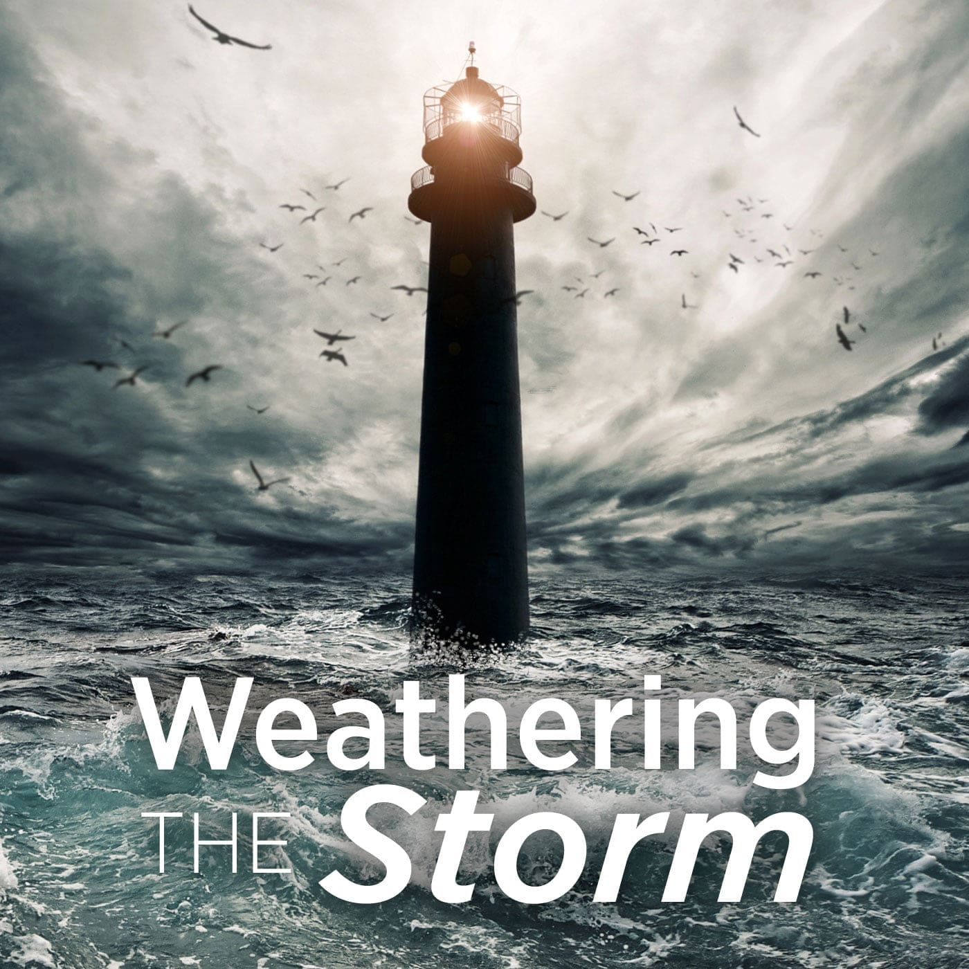 Predicting the Storm Image